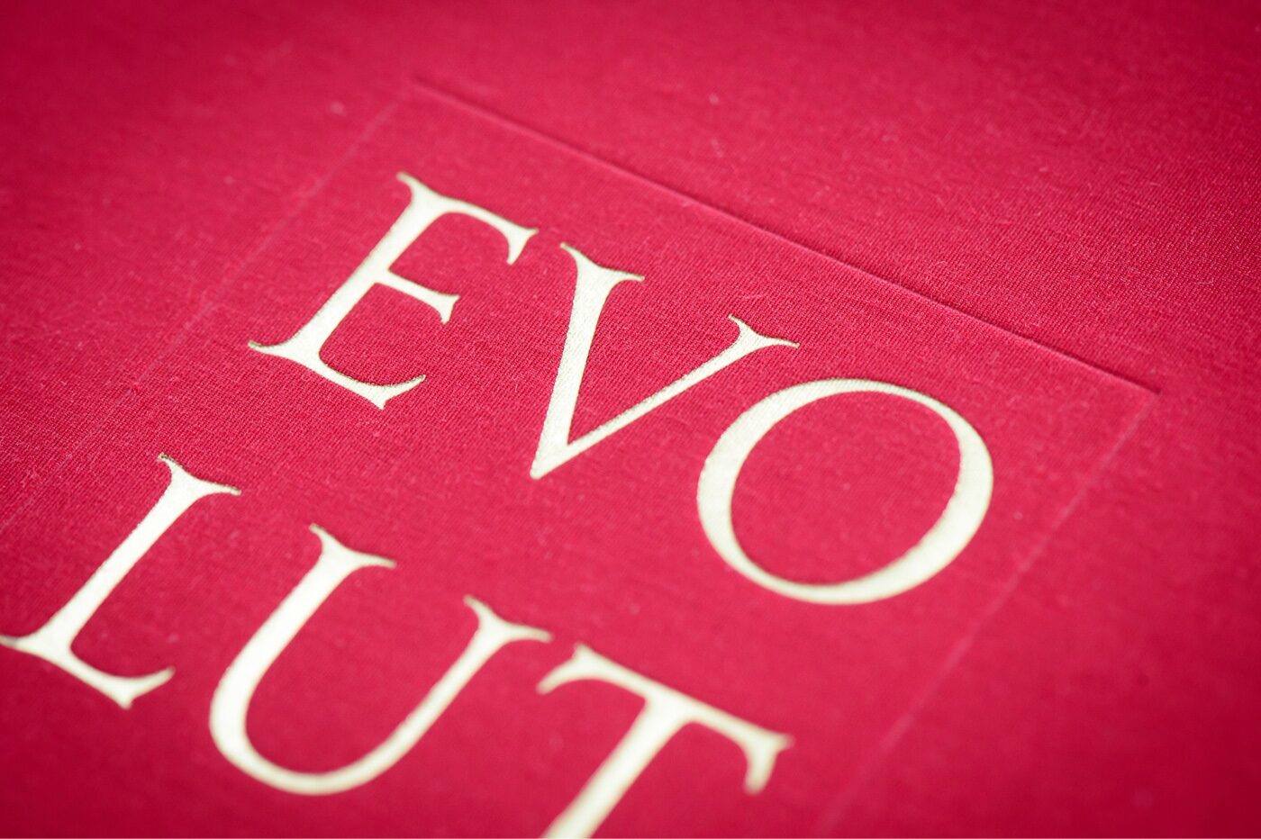 Evolution: The Art of Rebecca Guay — ArtBook Printing