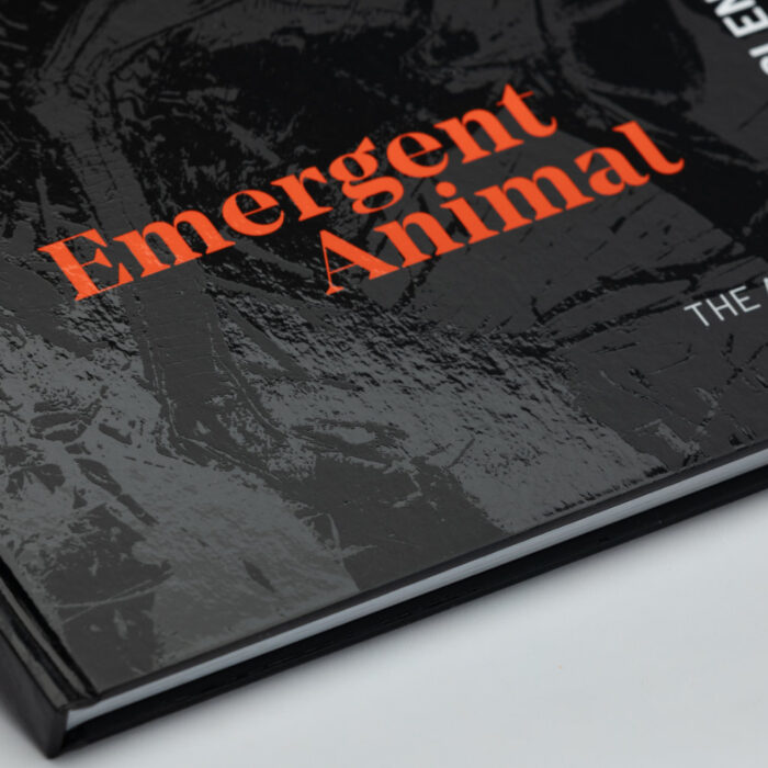 Daniel McClendon: Emergent Animal